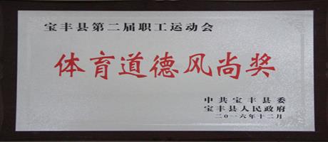寶豐縣第二屆職工運動會體育道德風(fēng)尚獎